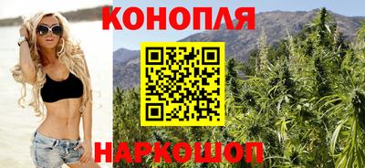 прущие грибы Балаково