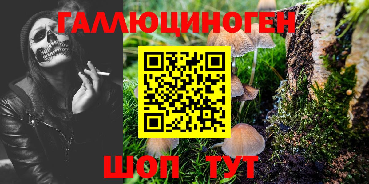 Псилоцибиновые грибы мицелий Будённовск